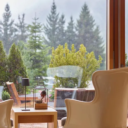 Dolomites Hotel 4*